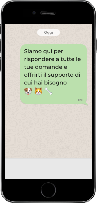 contattaci su whatsapp